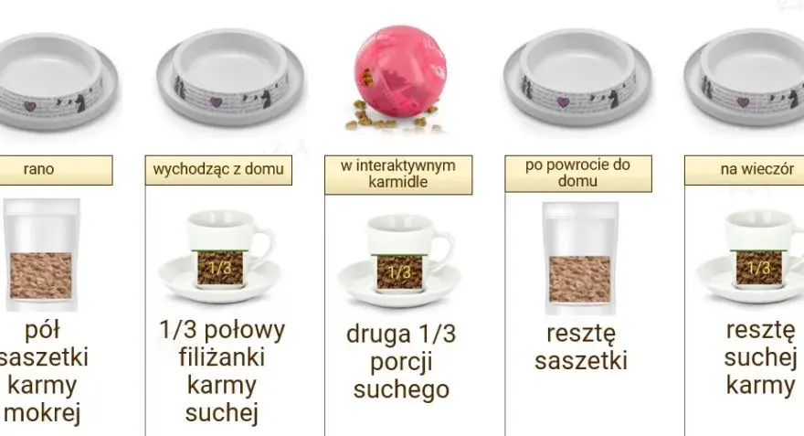Ile gram karmy dla kota podawać: sprawdzona dawka na każdy dzień