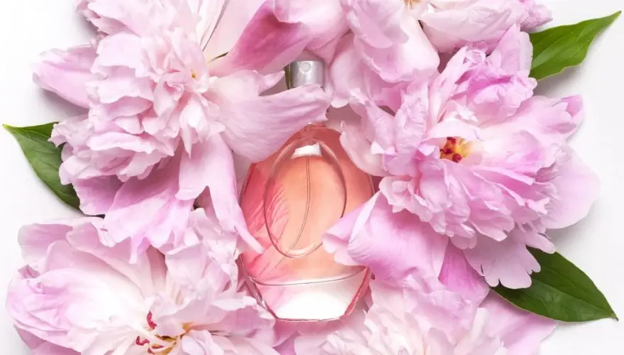 Perfumy z piwonią - Najlepsze zapachy dla miłośników kwiatowych nut