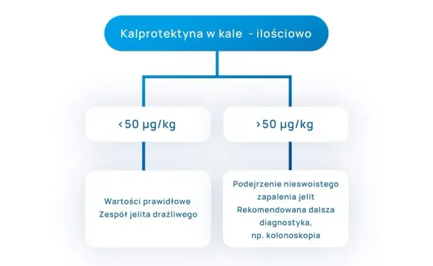 Co oznacza podwyższona kalprotektyna i jakie są jej możliwe przyczyny
