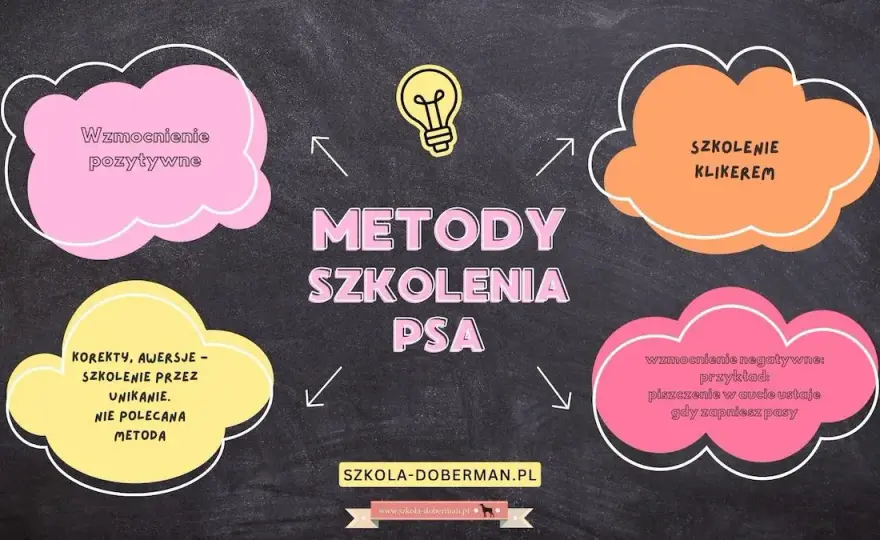 Skuteczne metody jak wytresować psa żeby się słuchał: 10 sprawdzonych zasad