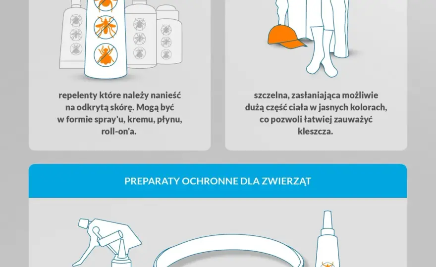 Czy pranie zabija kleszcze? Jaka temperatura skutecznie je niszczy?