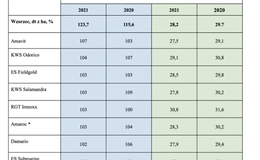 Najbardziej plenne odmiany kukurydzy: Lista sprawdzonych rozwiązań 2025