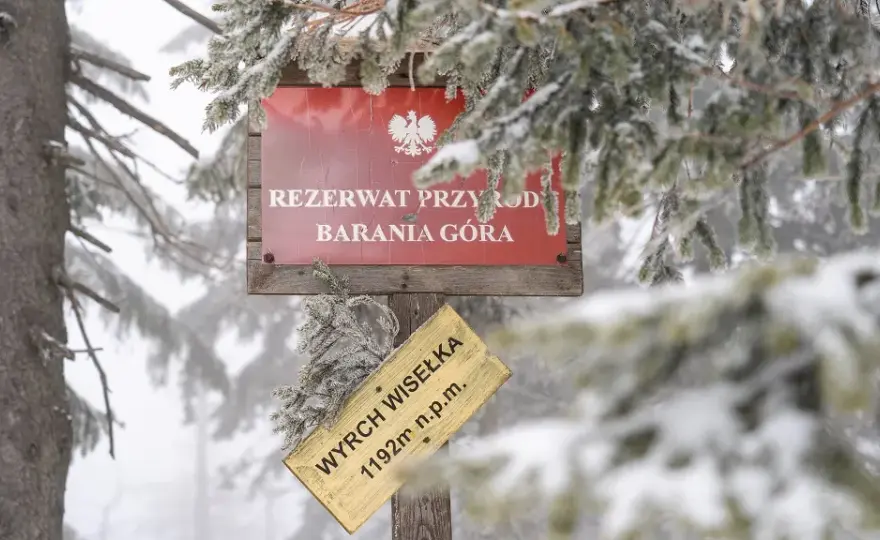 Najlepsze szlaki na Baranią Górę: trudność, czas i atrakcje