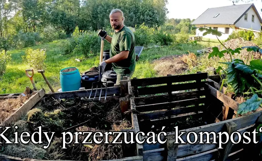 Kiedy rozrzucać kompost? Najlepszy czas i skuteczne techniki