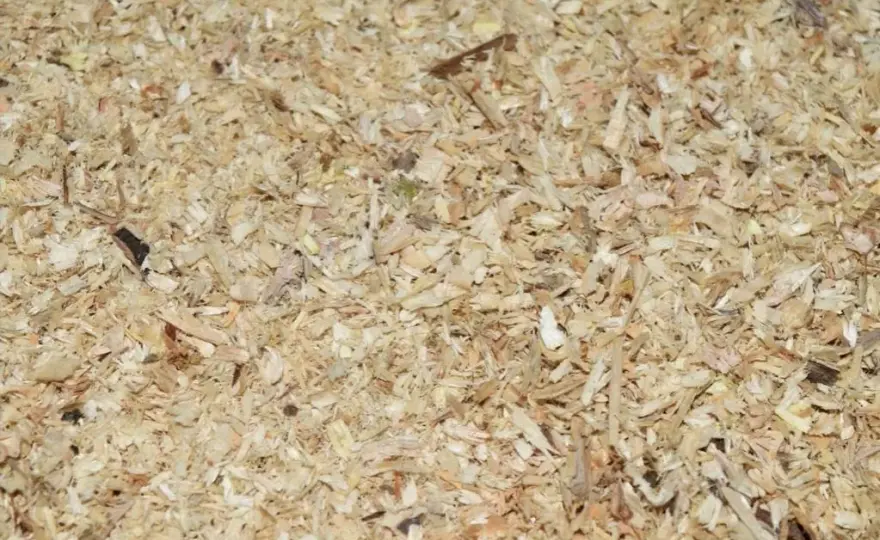 Ile trocin potrzeba na tonę pelletu? Obliczenia i optymalizacja produkcji