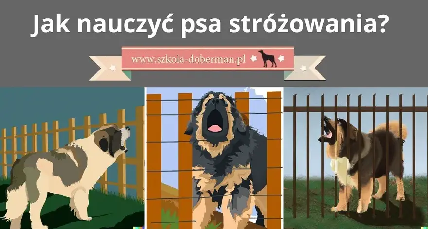 Jak wytresować psa obronnego w domu: kompletny poradnik i praktyczne porady