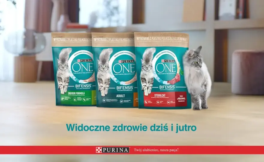 Purina jako karma dla kota: poznaj prawdę o jakości i składzie karmy
