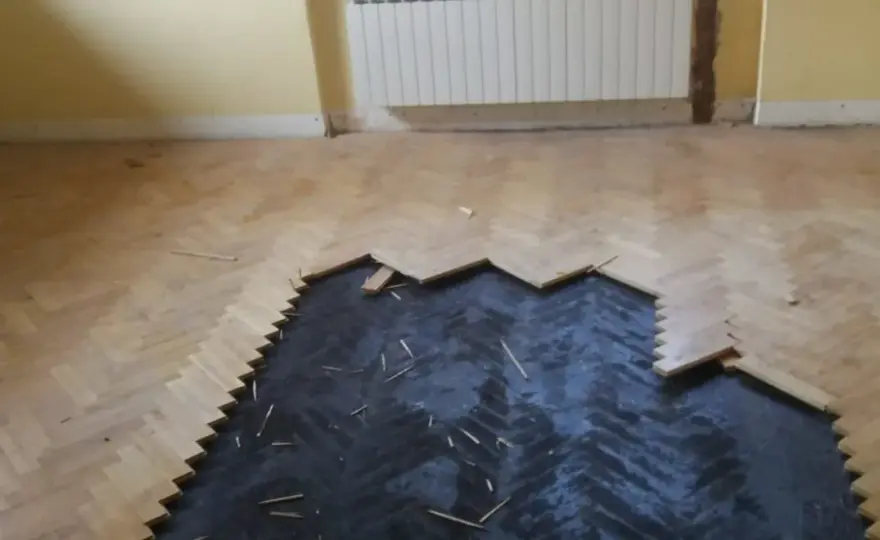 Czy lepik pod parkietem jest szkodliwy? Odkryj zagrożenia dla zdrowia.