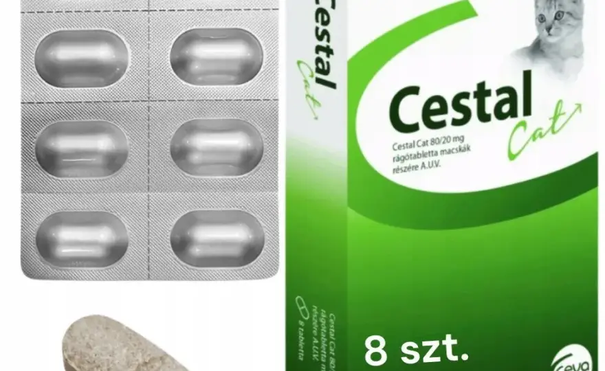 Jak działa tabletka na odrobaczanie kota i co warto wiedzieć?