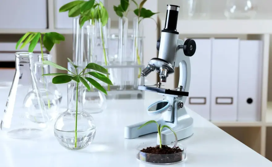 Biologia sądowa czy warto? Odkryj korzyści i możliwości kariery