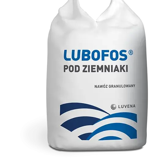 Najlepsze nawozy pod ziemniaki skrobiowe: co, kiedy i jak stosować