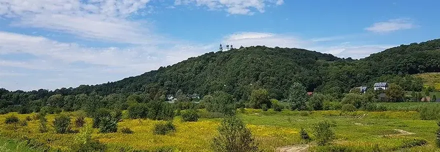 Najlepsze trasy rowerowe w Krakowie, które musisz znać i przejechać