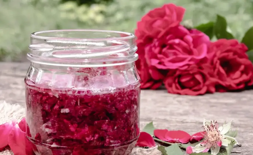 Jak zrobić aromatyczną herbatę z płatków róży: prosty przepis krok po kroku