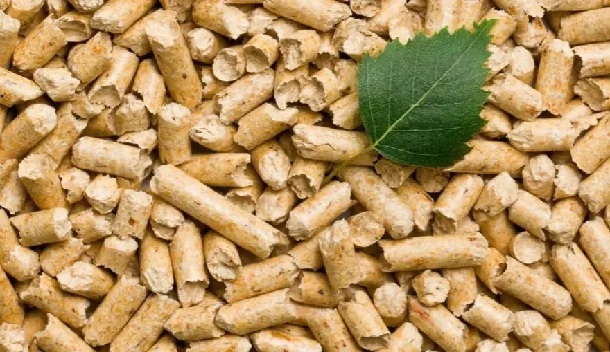 Jak produkować pellet: Kluczowe materiały i maszyny, które musisz znać