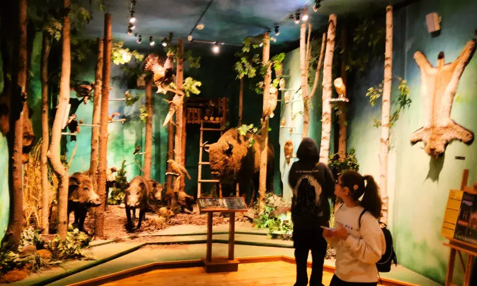 Muzeum Łowiectwa i Jeździectwa: Łazienki Wystawy, bilety, dojazd