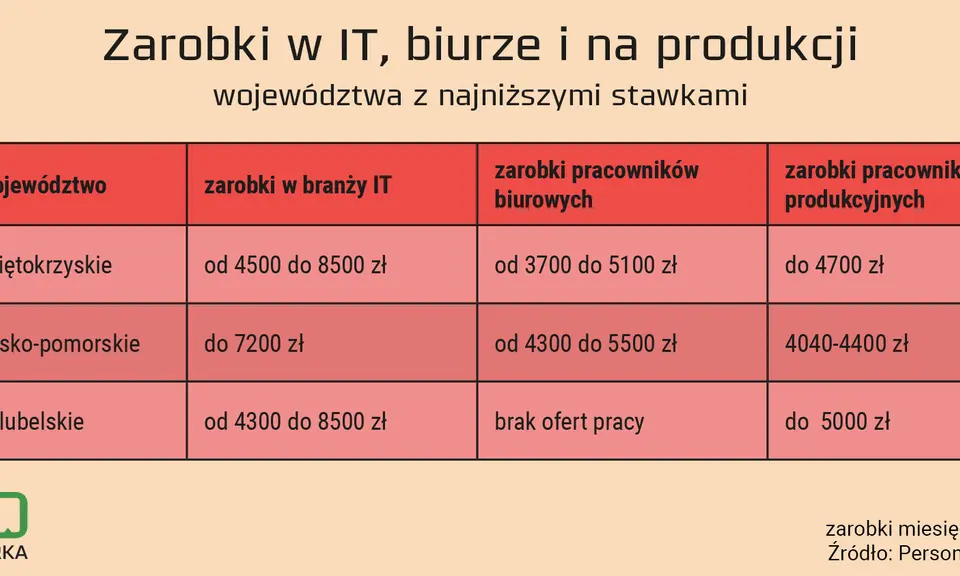 Pracownik IT: Kim jest? Zarobki, ścieżki kariery i przyszłość branży