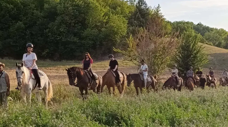 Un gruppo di persone vive un'emozionante passeggiata a cavallo nelle Marche, tra colline verdi e campi dorati.