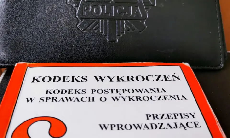 Postępowanie o wykroczenia: Policja, mandat, sąd Twój przewodnik