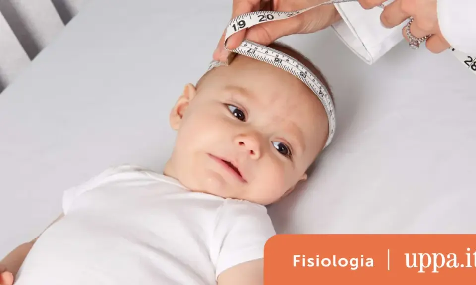 Misurazione della circonferenza cranica di un neonato, utile per la tabella crescita neonato prematuro.