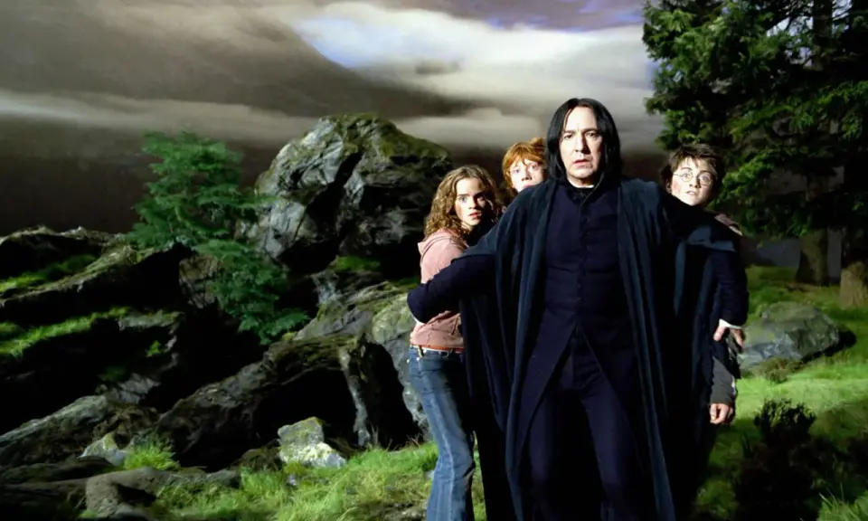Severus Rogue, jeune et sombre, guide Harry, Ron et Hermione à travers un paysage rocheux et brumeux.