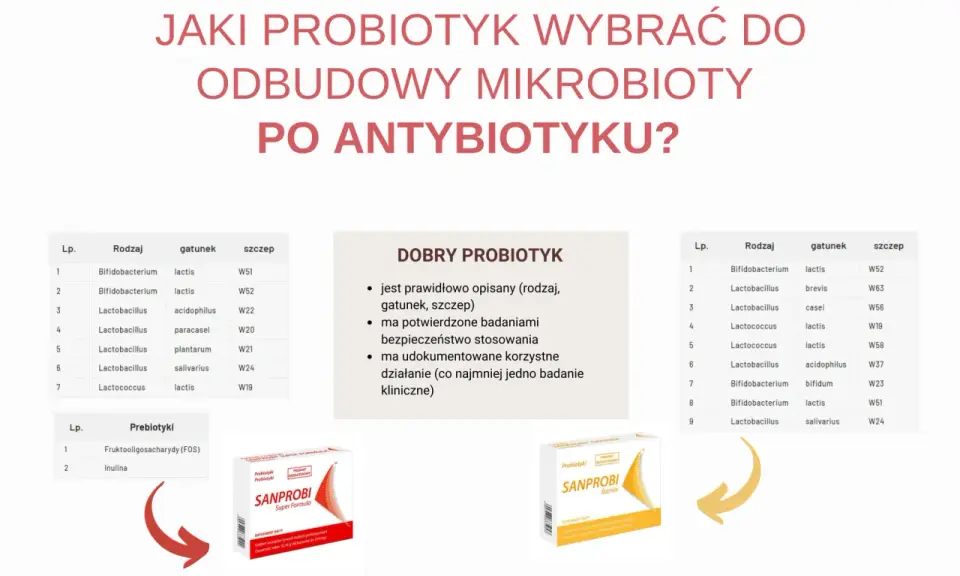 Wybór probiotyk po antybiotyku jest kluczowy. Na zdjęciu widzimy propozycje produktów Sanprobi, które pomagają odbudować mikrobiotę.