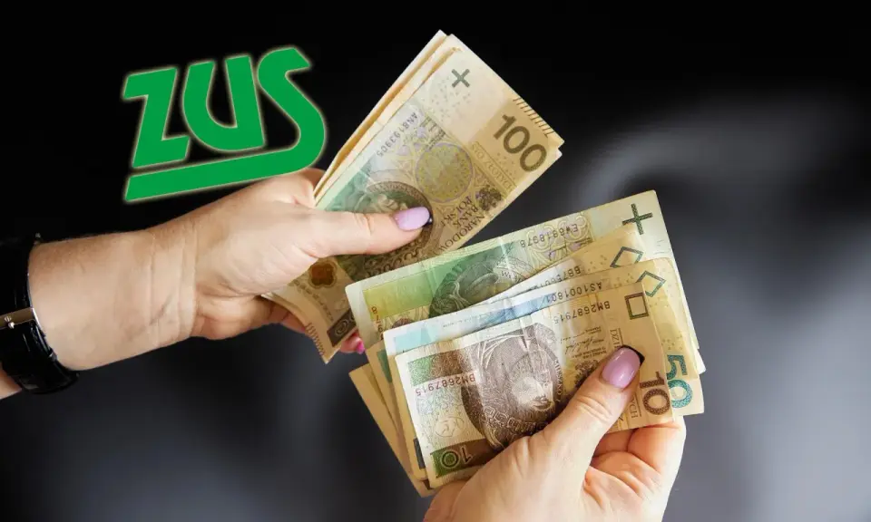 Ręce liczą pieniądze, a obok zielone logo ZUS. Czy to świadczy o tym, że czeka emerytura po mężu?