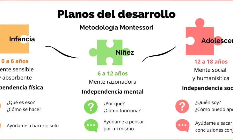 La educación Montessori en qué consiste: planos del desarrollo por etapas (infancia, niñez, adolescencia) con sus características y enfoques.