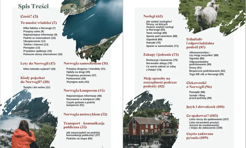 Spis treści: co warto zobaczyć w Norwegii, od lotów po noclegi i transport. Zdjęcia owiec i fiordów.
