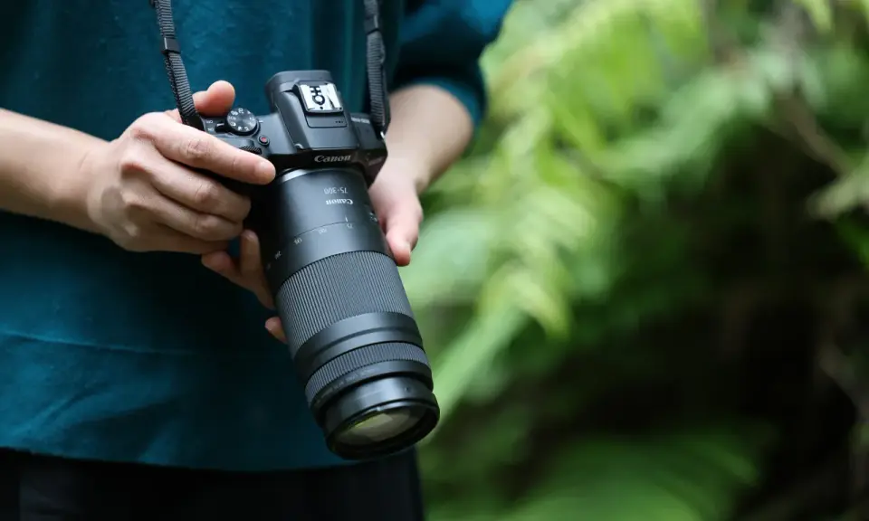 Canon 75-300mm: Do czego służy? Poradnik dla początkujących