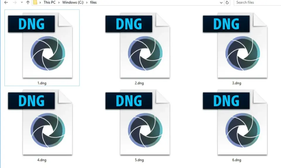 Sei file DNG, ciascuno con un'icona a forma di diaframma, sono visualizzati in una cartella di Windows.