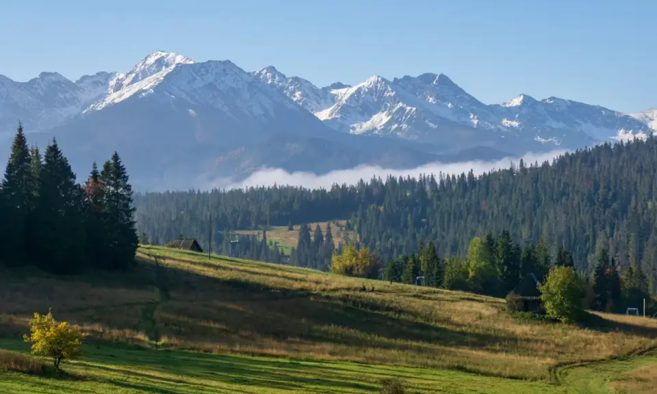 Malowniczy krajobraz Tatr z ośnieżonymi szczytami. Na pierwszym planie zielone wzgórza, ścieżka i pojedyncze drzewa. Idealne miejsce na zejście z Gubałówki pieszo.
