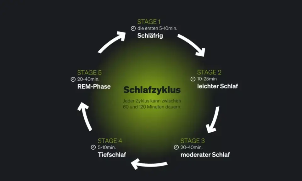 Schema des Schlafzyklus mit Phasen: Schläfrig, leichter Schlaf, moderater Schlaf, Tiefschlaf und REM-Phase. Ein Zyklus dauert 60-120 Minuten.