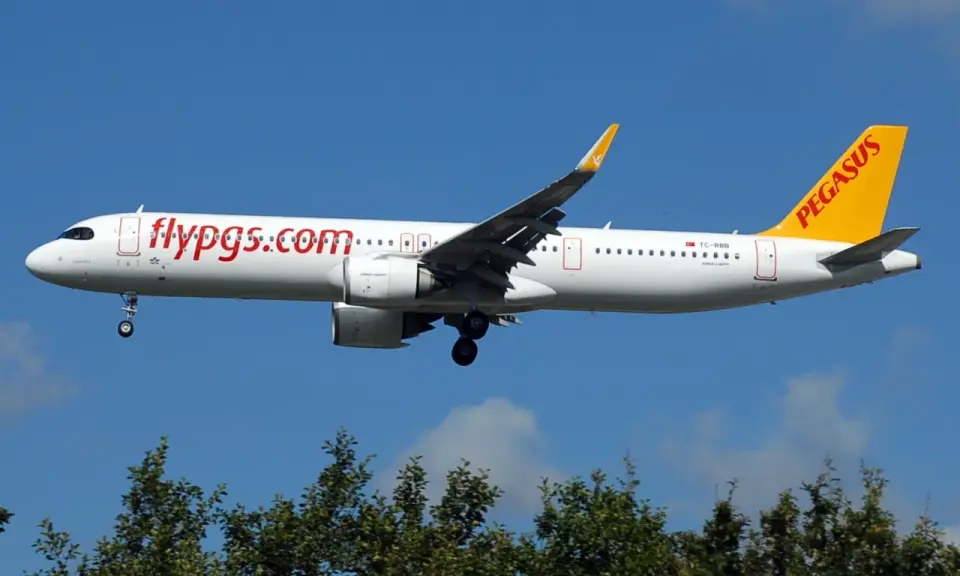 Samolot Pegasus Airlines z napisem "flypgs.com" na kadłubie i żółtym ogonem. W tle błękitne niebo i zielone drzewa. Idealny do przewozu bagażu.