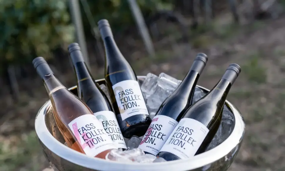 Flaschen mit "Fass Kollektion" Etiketten, darunter ein Rosé-Wein, in einem Eisbehälter. Ein Genuss für Liebhaber von gutem **Wein rot** und weiß.