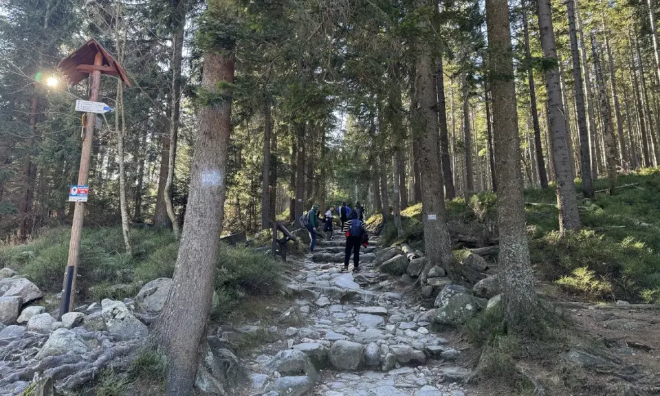 Kamienna ścieżka w lesie, turyści idą w górę. Znak wskazuje niebieski szlak na Śnieżkę.