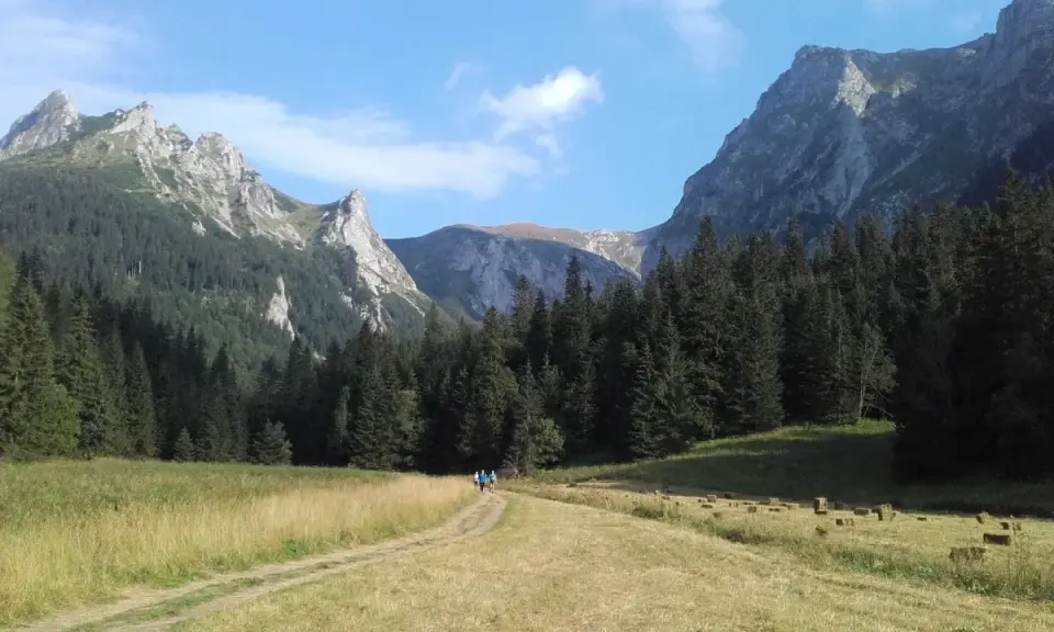 Dolina Pańszczyca w Tatrach. Dwie osoby idą ścieżką przez łąkę, otoczoną lasem świerkowym i skalistymi szczytami.