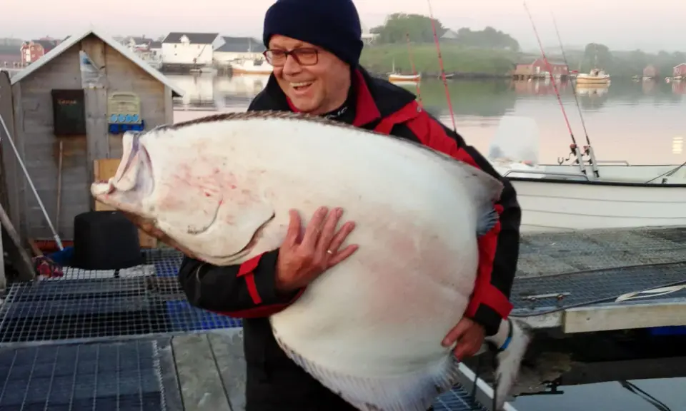 Szczęśliwy wędkarz z ogromnym halibutem. Taka zanęta halibut na jakie ryby? Na rekordowe!