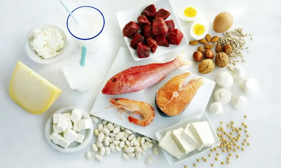 Variedad de alimentos ricos en proteínas: carne, pescado, marisco, huevos, lácteos, legumbres, frutos secos y tofu, fuentes de los 20 aminoácidos esenciales.