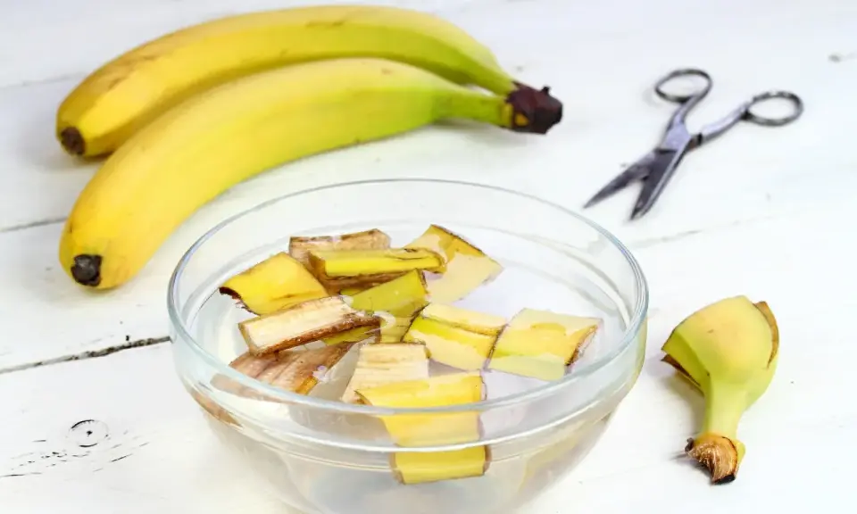 Kawałki skórek bananów w wodzie, przygotowywane jako nawóz z banana. Obok leżą banany i nożyczki.