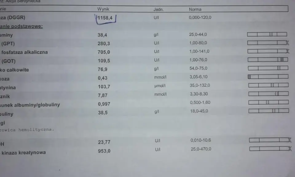 Wynik lipazy u psa 1158,4 U/I znacznie przekracza normę 0-120 U/I.