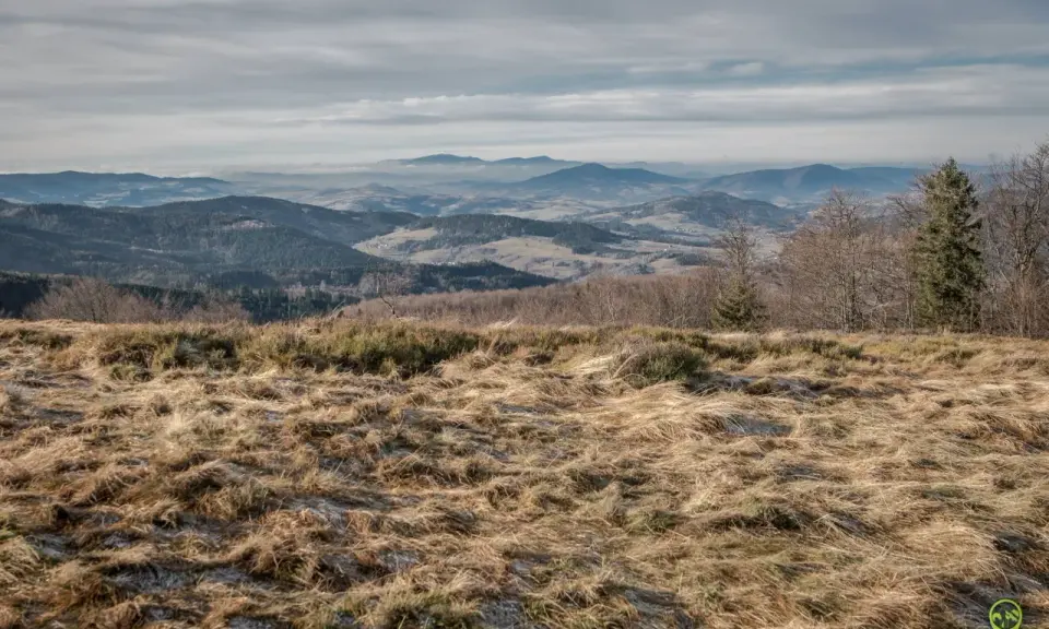 Widok z trawiastego zbocza na pasmo górskie, być może najładniejszy szlak na Mogielicę.