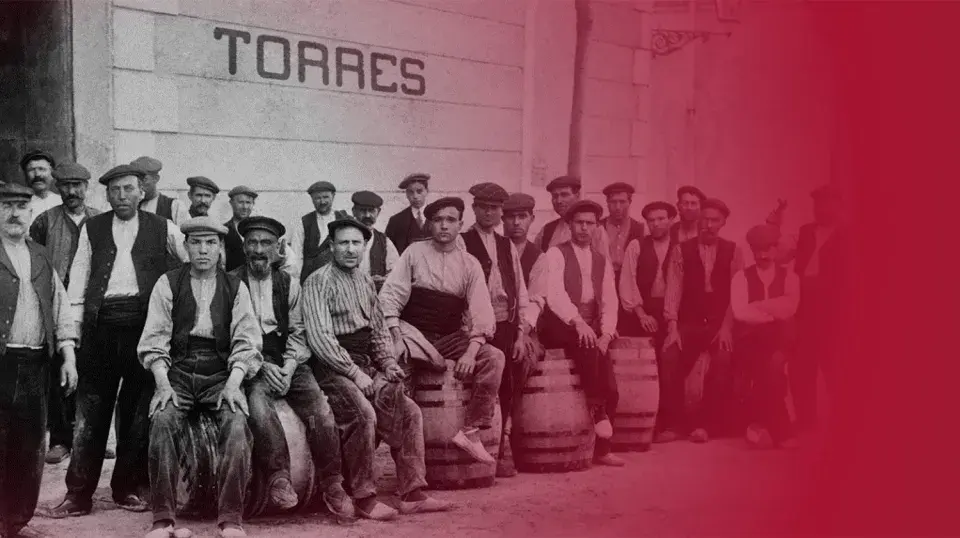 Trabajadores de Torres, donde se elabora el vino Sangre de Toro.