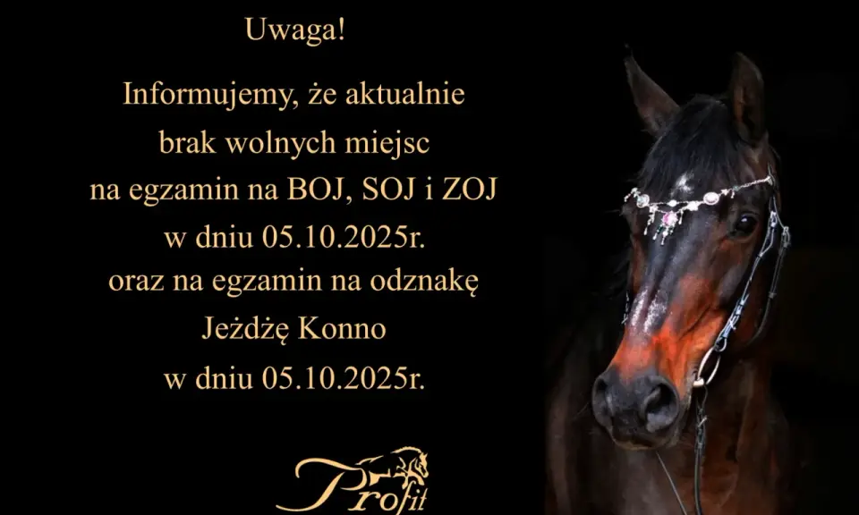 Twój przewodnik: Odznaka "Jeżdżę Konno" PZJ zdaj za 1 razem!