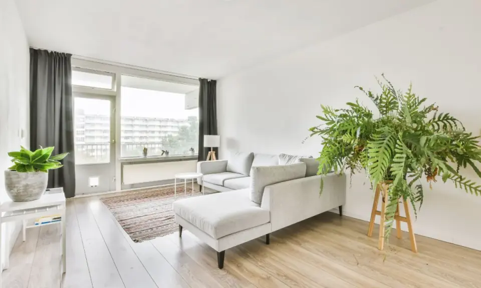 Soggiorno in casa stile nordico con divano grigio, tappeto a righe, piante verdi e grandi finestre.
