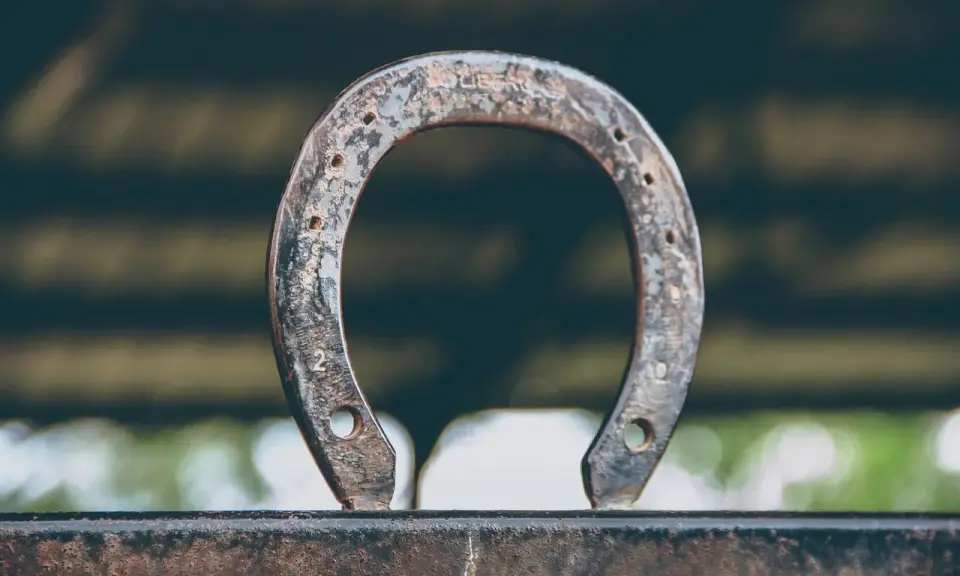 Zardzewiałe hacele w podkowie, symbol szczęścia i dawnych czasów, stoją na metalowej belce.