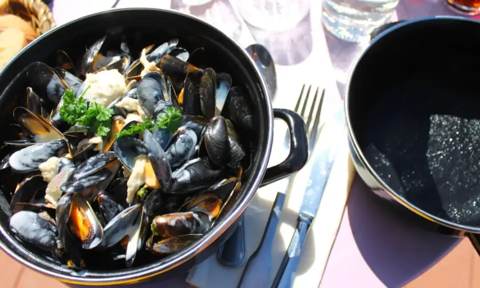 Moules marinières crémeuses, une spécialité culinaire normandie, servies dans une cocotte avec du pain frais.