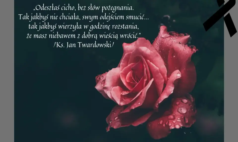 Mądre cytaty na pożegnanie: róża z kroplami rosy i czarną wstęgą. Wiersz ks. Jana Twardowskiego o cichym odejściu.