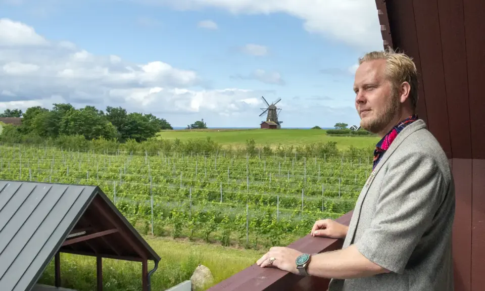 Man i kavaj blickar ut över böljande vingårdar i Skåne, med en väderkvarn i bakgrunden.