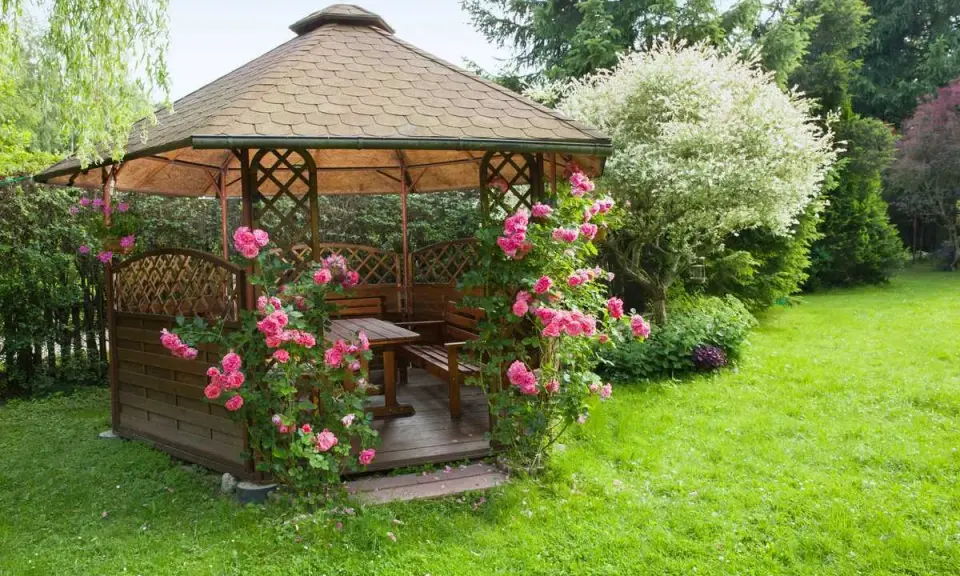 Pergola en bois ornée de roses roses, installée dans une pelouse verdoyante. Idéal pour savoir comment fixer une pergola dans l'herbe.