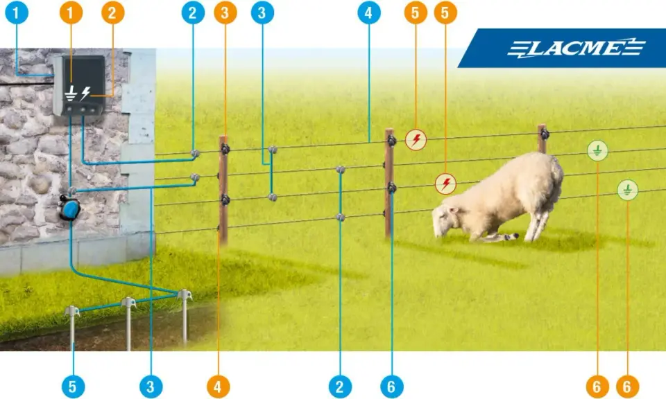 Schéma de branchement d'une clôture électrique : le boîtier, les fils, les piquets et la mise à la terre pour un mouton en sécurité.